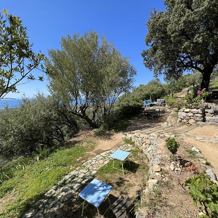 ホテル Casa Musicale Pigna エクステリア 写真