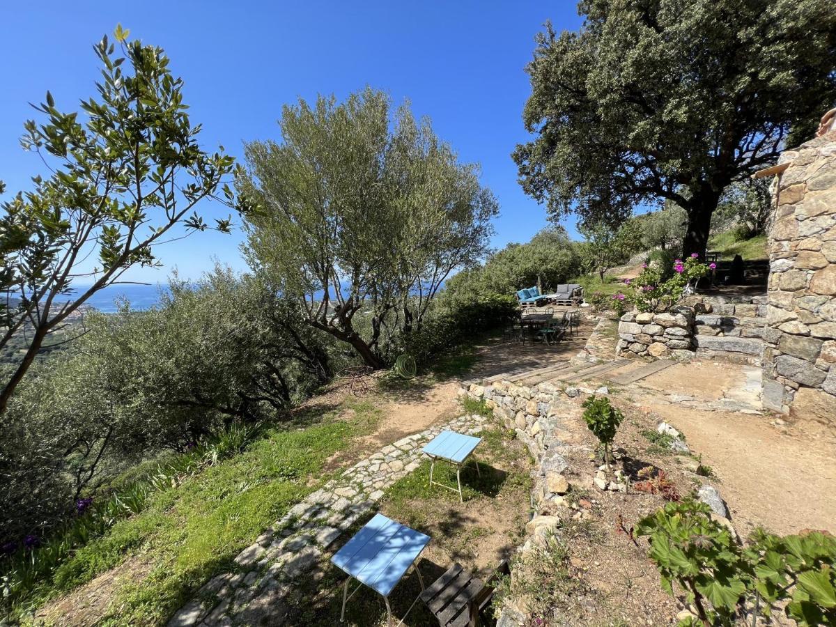 ホテル Casa Musicale Pigna エクステリア 写真